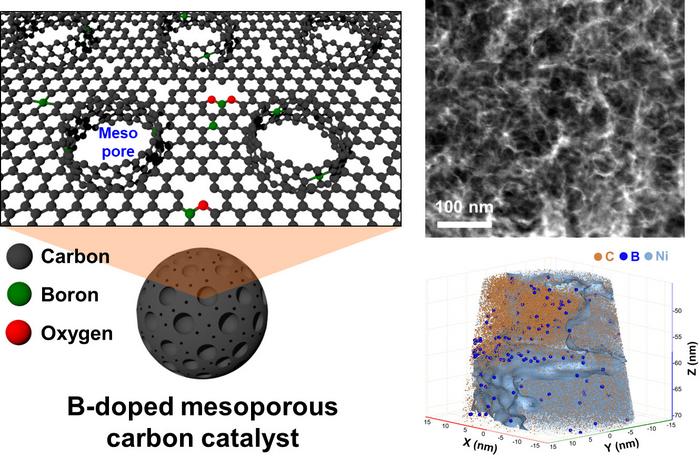 [Figure 1] Boron-doped mesoporous carbon catalyst structure