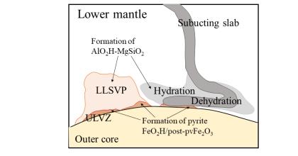 Geophysical Observations Reveal the Water Distribution and Effect in Earth's Mantle