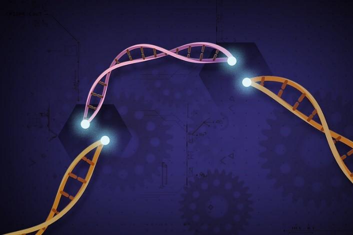 Researchers develop a fast, accurate, low-cost COVID-19 test