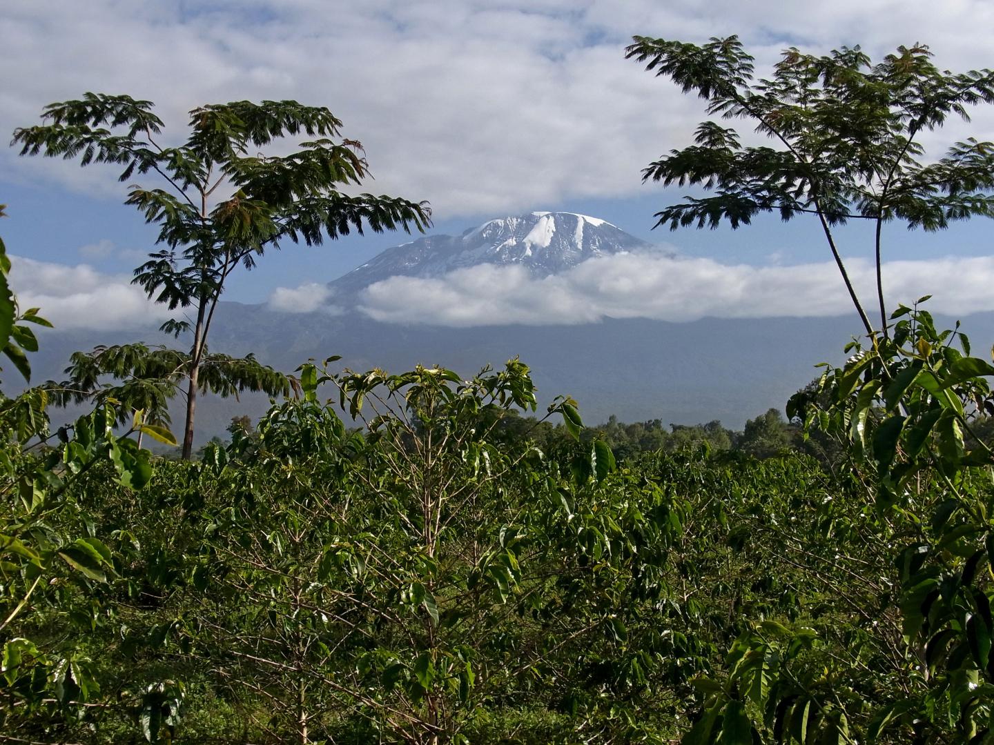 Mount Kilimanjaro