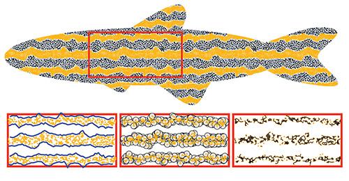 Pattern Quantification