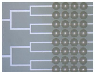 Zone-plates Atop Microfluidic Channels