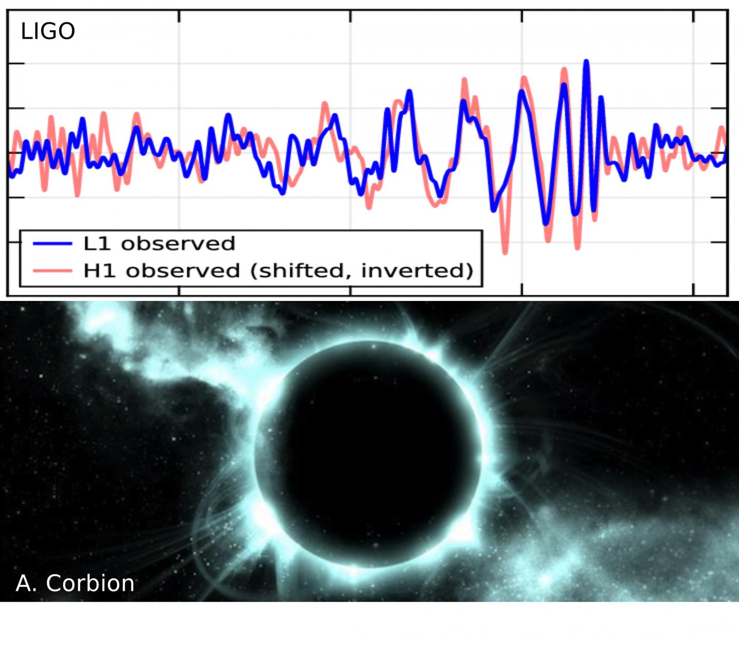 Gravitational Wave Signal