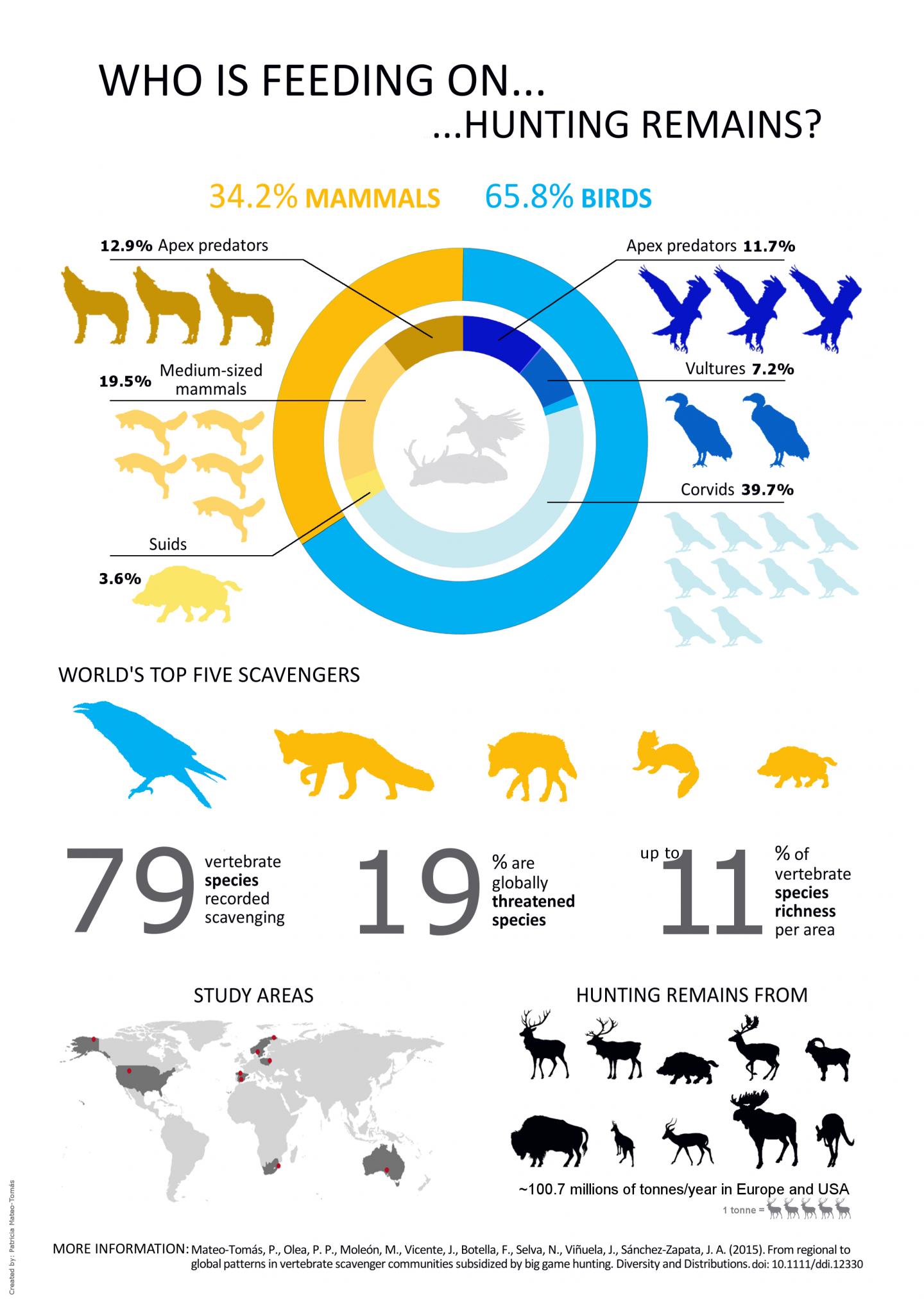 Infographic: Who Feeds on Hunting Remains?