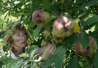 Janna Beckerman,   	 Purdue University 