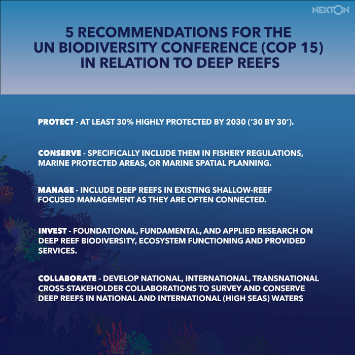 Recommendations for COP15 on deep reef conservation. (c) Nekton 2022.