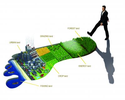 Frontiers in Footprinting