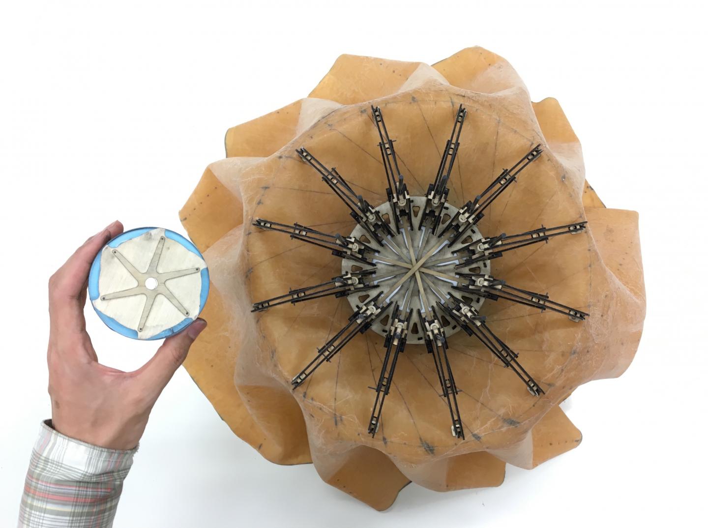 CuSat Size System and Cargo Bay