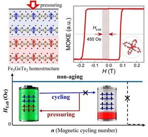 Novel Two-dimensional Homogeneous Bias Device Induced under Moderate Pressure