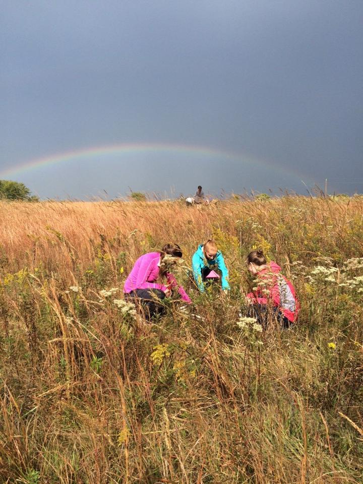 Rainbow over KU's Field Station