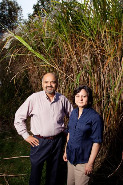 Atul Jain and Madhu Khanna, University of Illinois at Urbana-Champaign