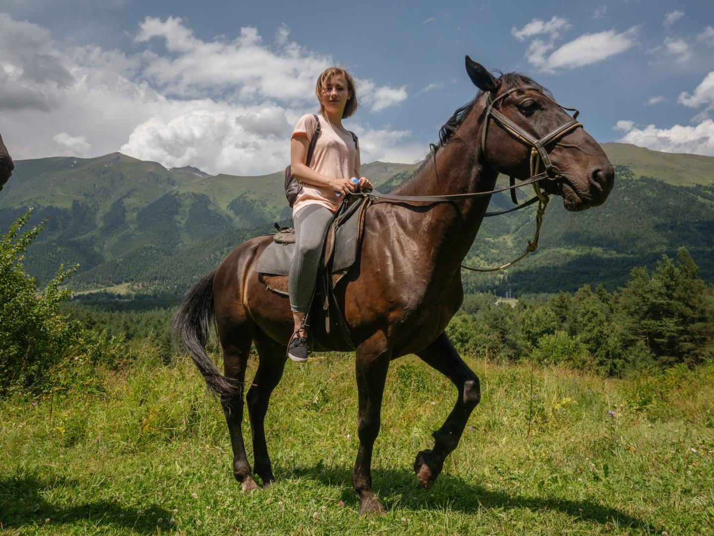 Ancient Horses Were the Ancestors of Modern Domestic Horses