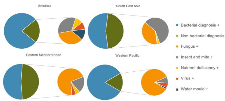 Breakdown of Problems against Which Antibiotics Were Recommended by Region