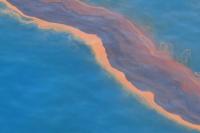 Oil in Gulf of Mexico During 2010 Deepwater Horizon Accident