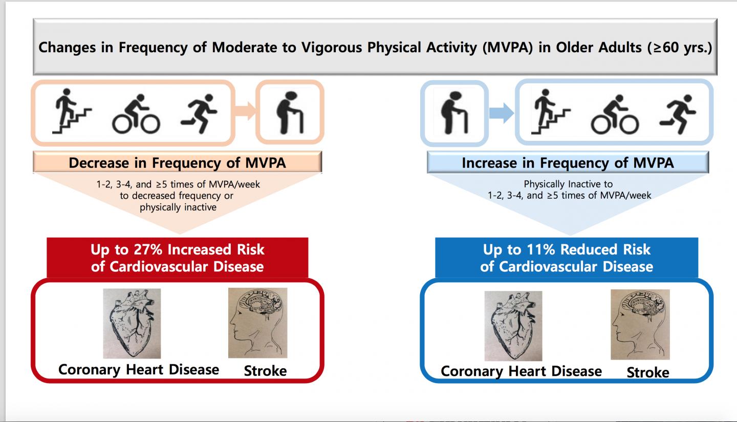 Increased Exercise Over the Age of 60 Reduces Risk of Heart Disease and Stroke