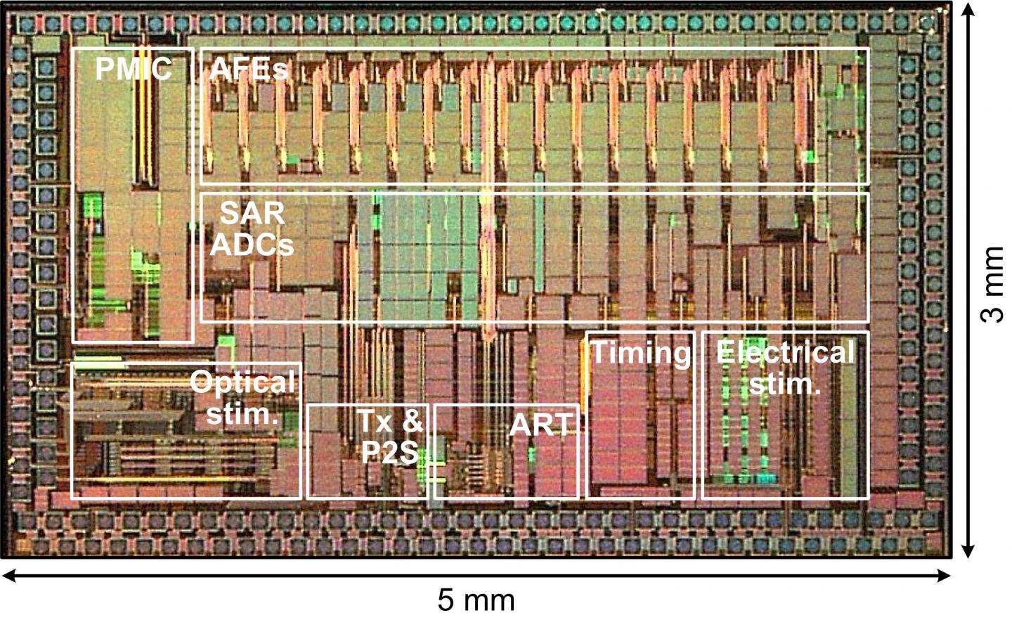 Wireless, trimodal chip shines light on the brain