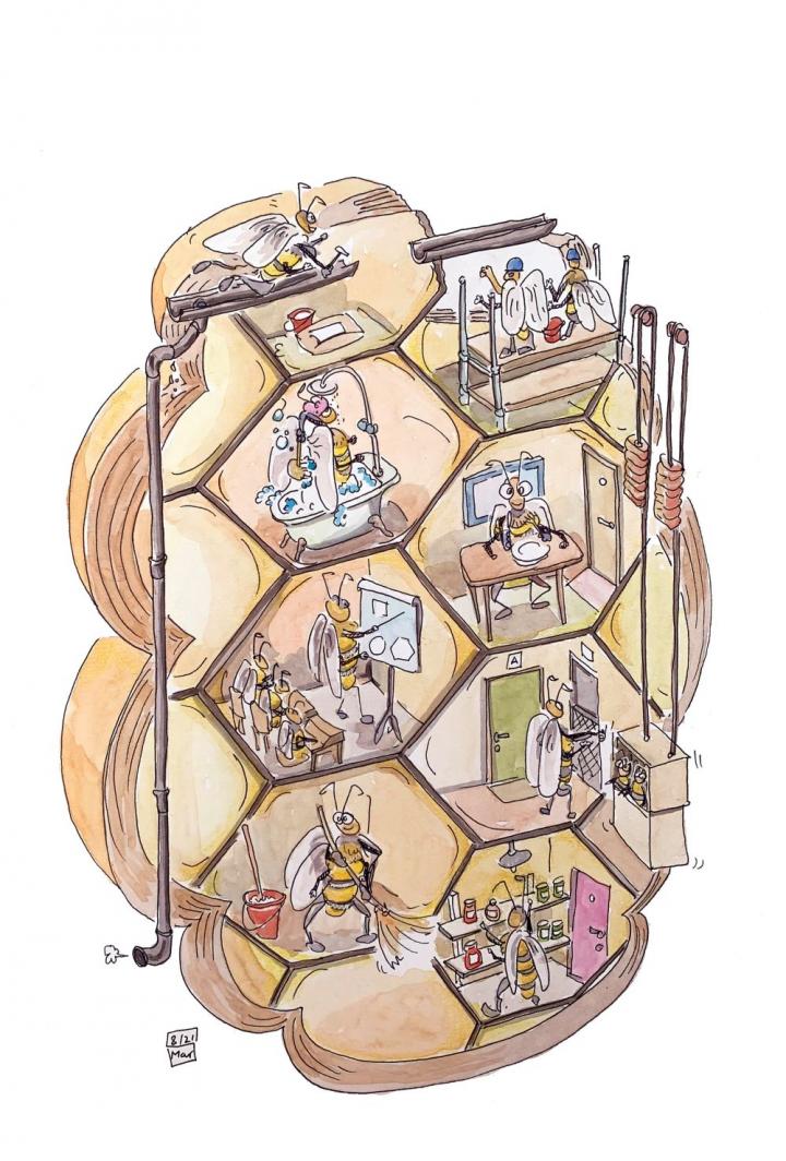 Honey bee behavior from within the hive