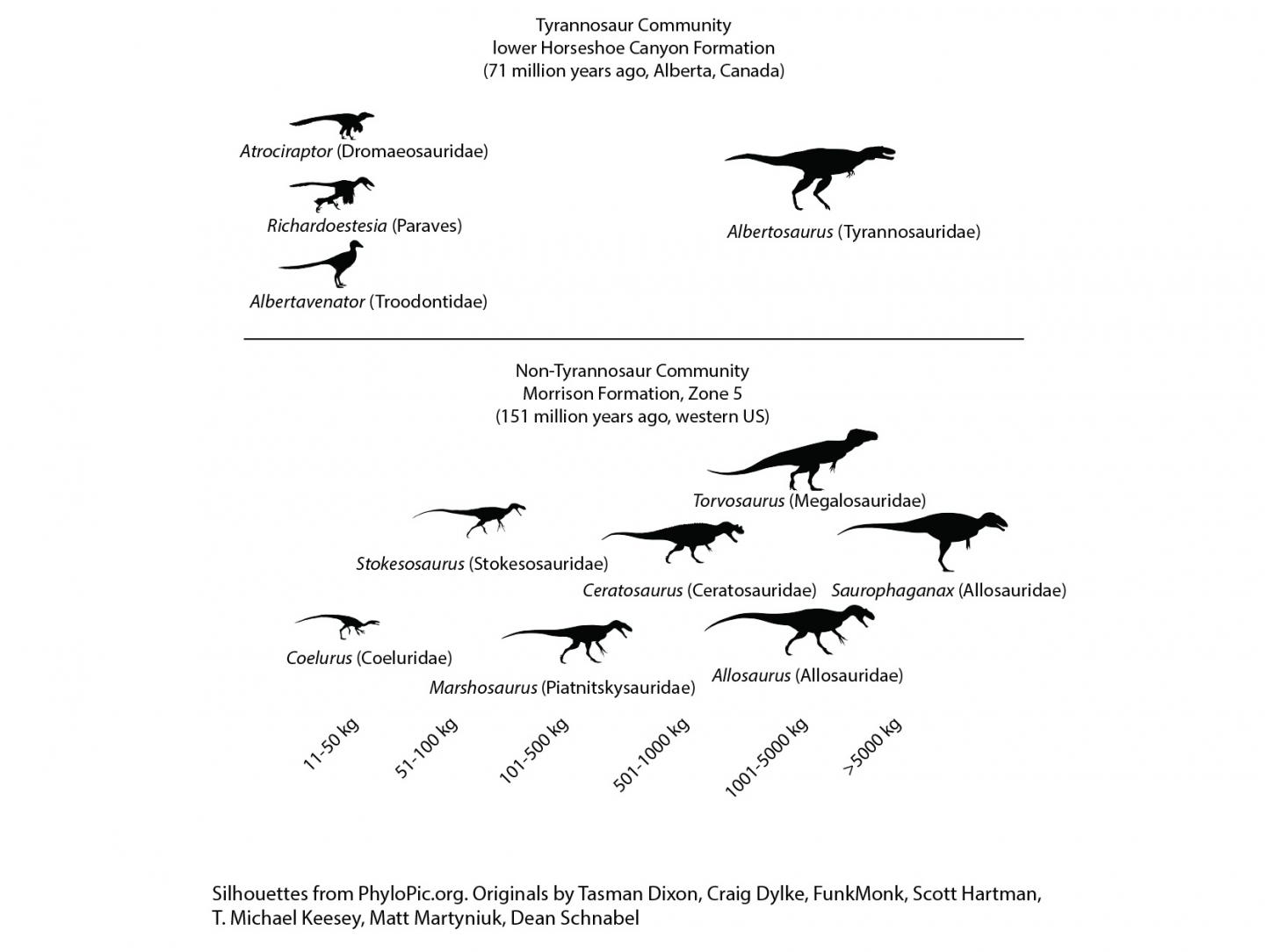 Size Distribution of Carnivorous Dinosaurs