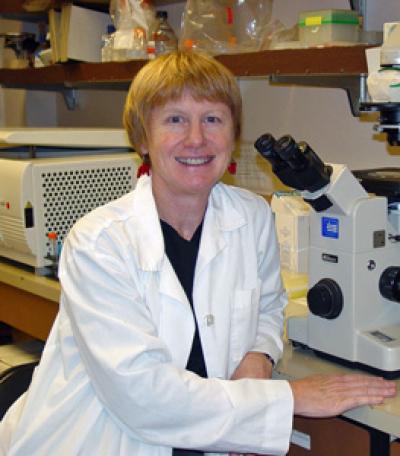 Jane Burns, UC San Diego School of Medicine