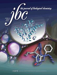 JBC Cover