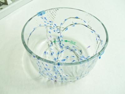 Reconstructed Fractured Soda Lime Silicate Pyrex Bowl