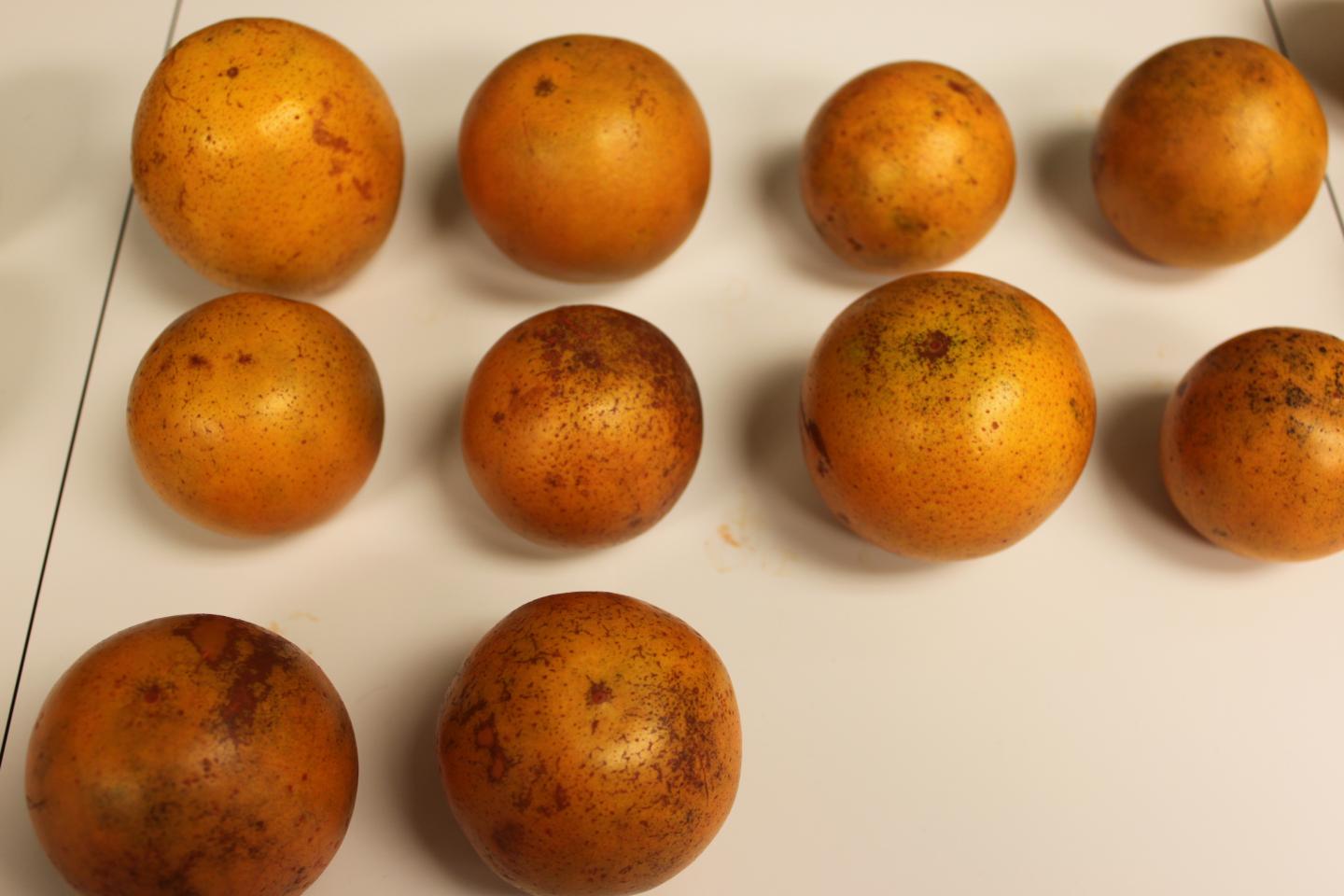 Three Food Grade Colorants Identified for Citrus