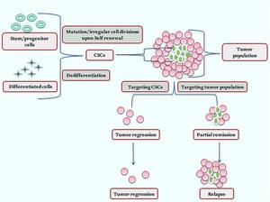 CSC (cancer stem cell) origin and treatment approach for cancer therapy.