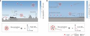 Novel Strategy Stabilizes Zinc-ion Batteries