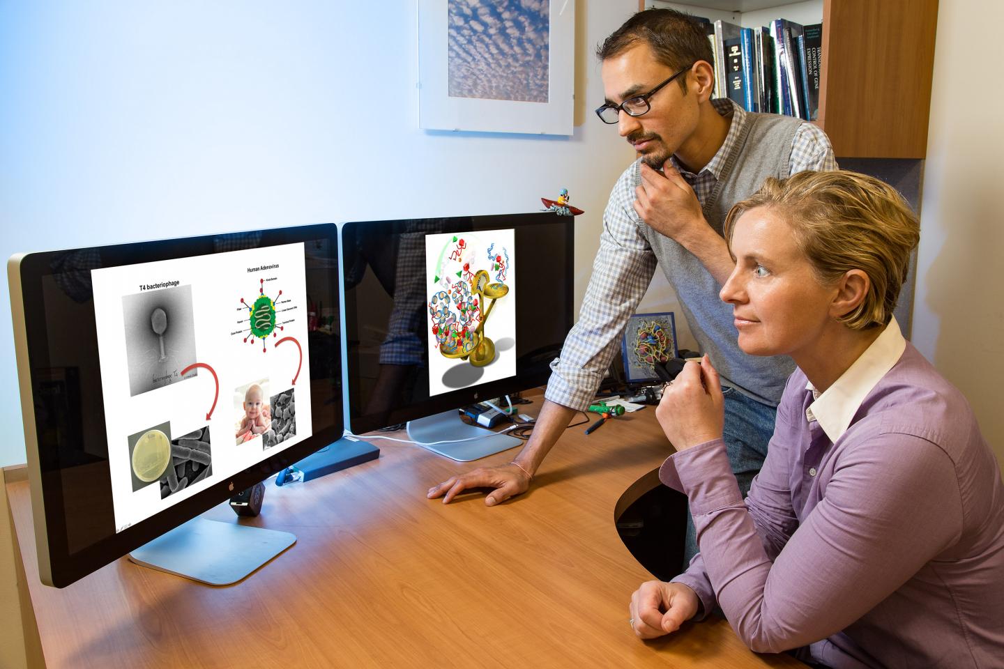 Salk Scientists Discovered Critical Details