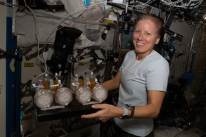 NASA astronaut Shannon Walker