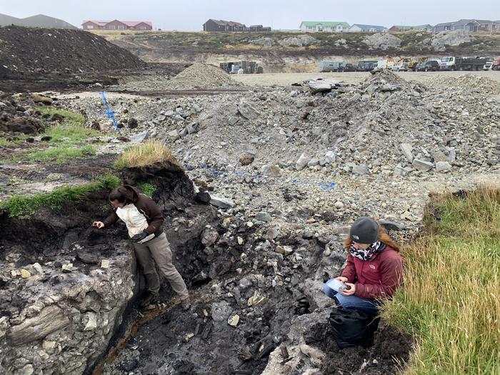 Excavation site where wood was uncovered