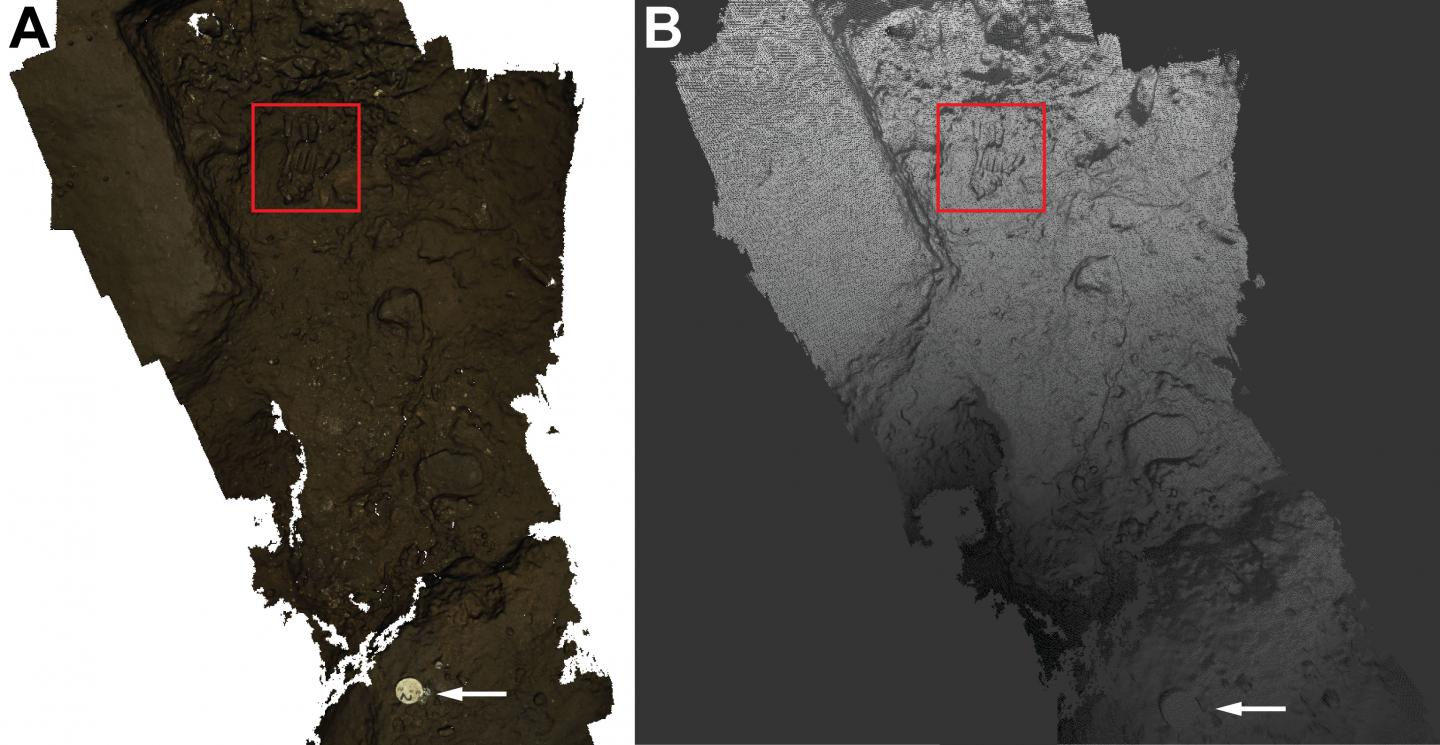 Dinaledi Chamber Ground