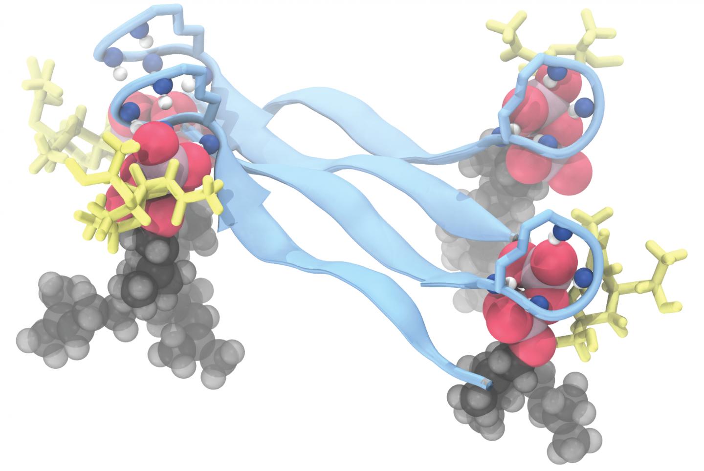 Teixobactin Structure