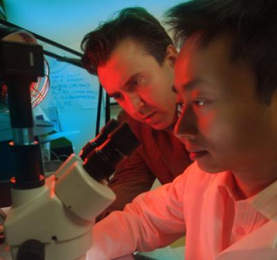 Drs. Daniel Rudic and Bo Cheng, Georgia Health Sciences University