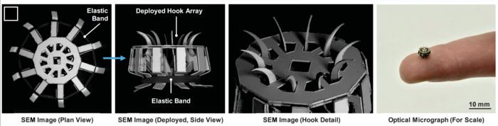 Mechanism details