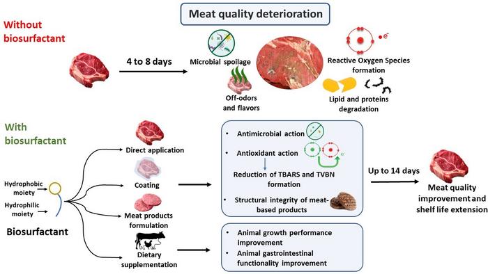 Several strategies of using biosurfactants in animal production and meat research