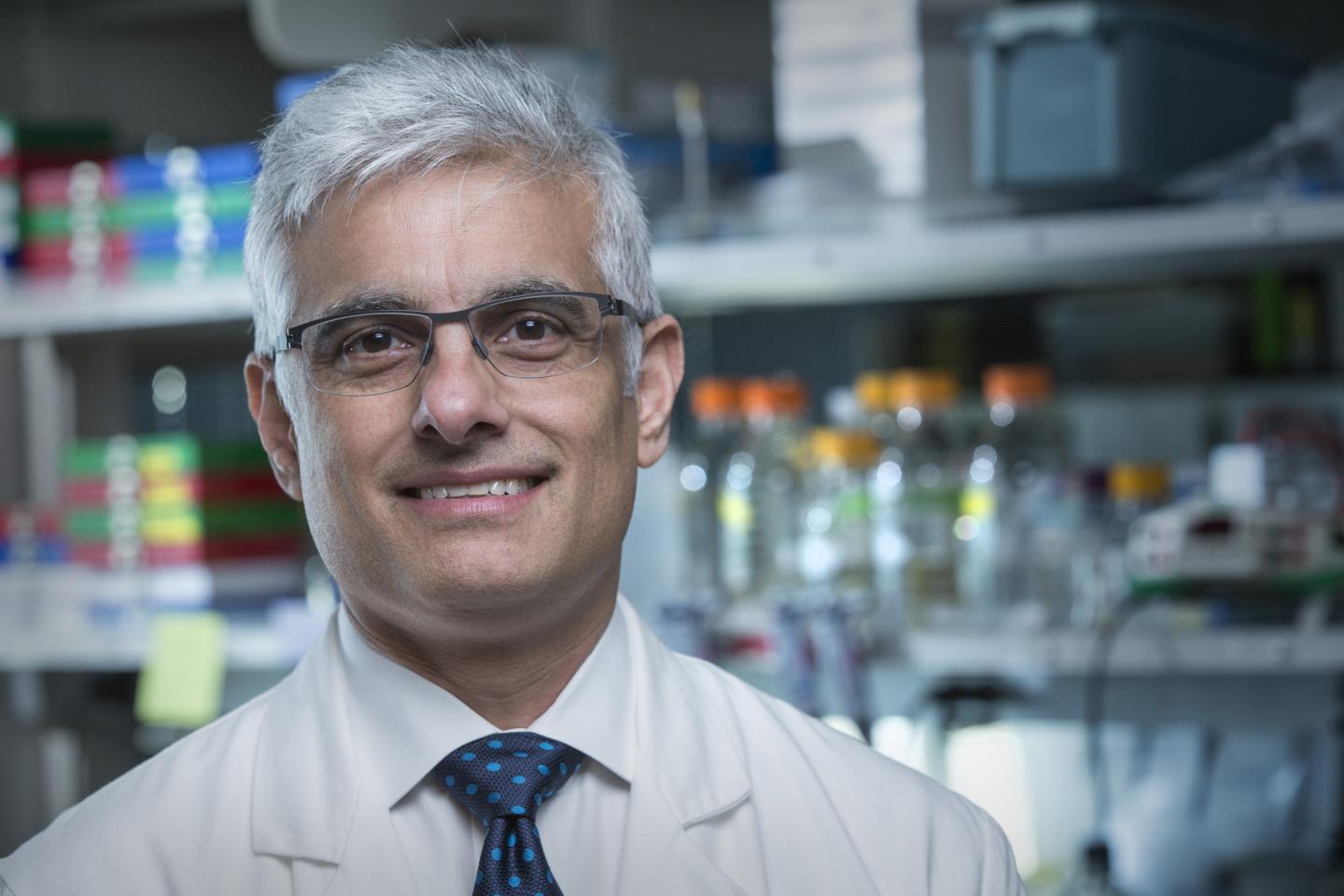 Dr. Sunil Hingorani, Fred Hutchinson Cancer Research Center