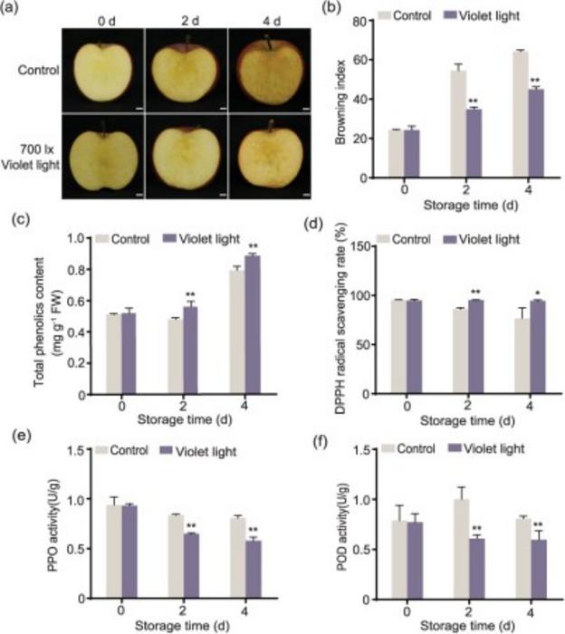 Violet LED light increased the antioxidant capacity and decreased oxidative enzyme activities of fresh-cut apple fruit.