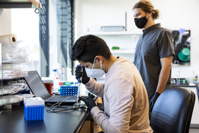 Pipetting nanoporeTERS