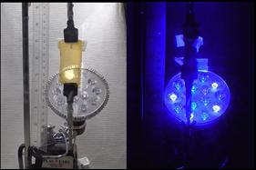 Muscle-Like Material Expands And Contracts In Response To Light (Video)