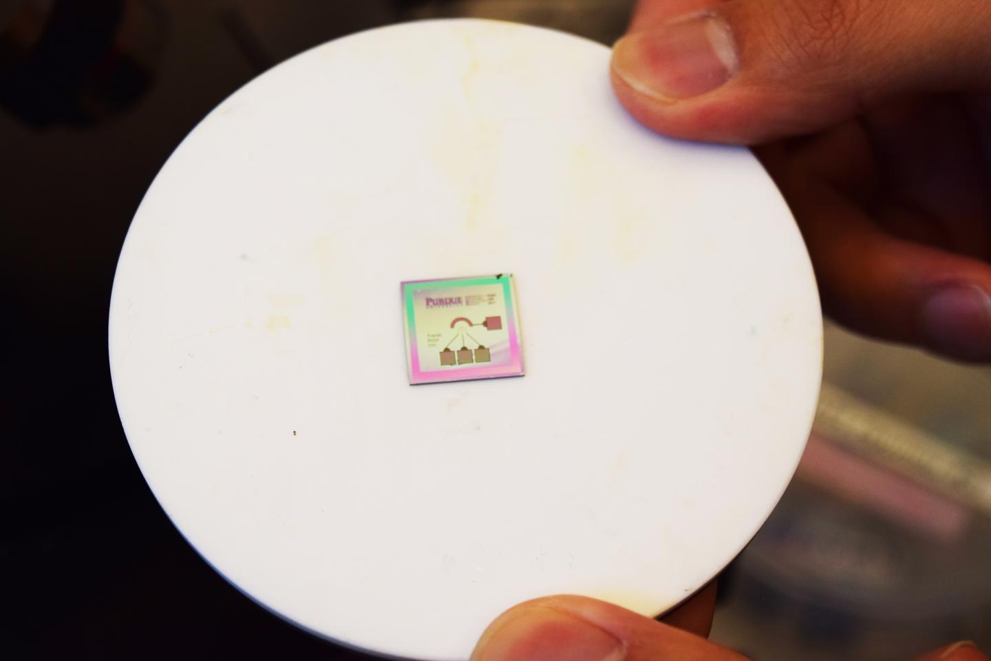 Electrode on a Chip