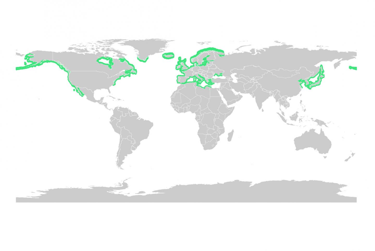 Map of Eelgrass Meadows