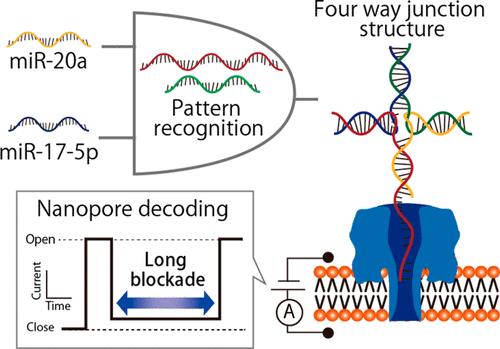 Graphical Abstract