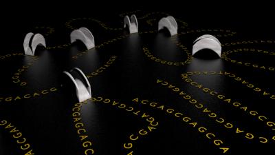 UMMS Scientists Re-image Genome Assembly