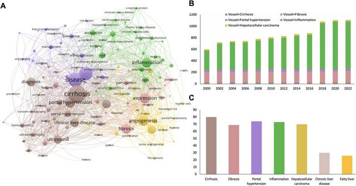 Bibliometric analysis of existing studies on linguistic landscape from the database of Web of Science between 2000 and 2022.