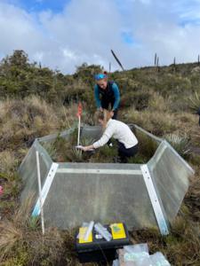 Collecting volatiles from Paramo plants