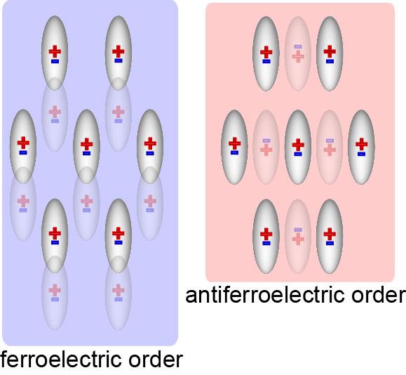 Schematic Representation of Electro-Mechanical Coupling in Our Model