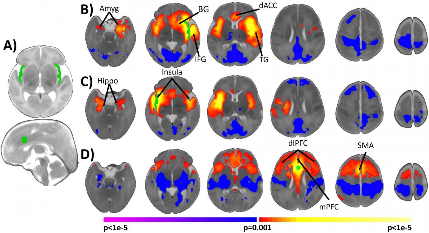 Network Connectivity