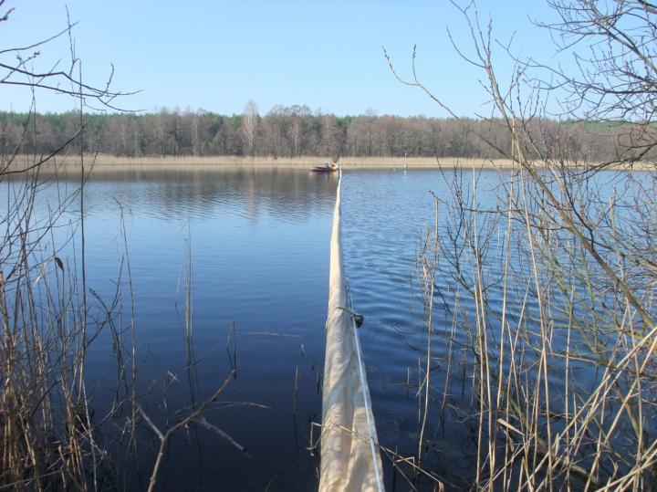 Divided Experimental Lake in Brandenburg, Germany