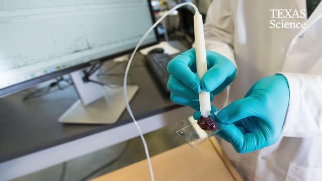 Handheld "Pen" May Bring Real-time Cancer Diagnosis to Surgeons' Fingertips
